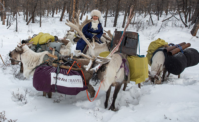 mongolia travel advice 